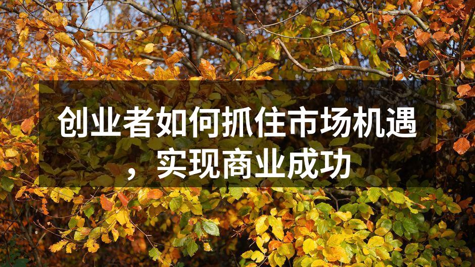 创业者如何抓住市场机遇，实现商业成功