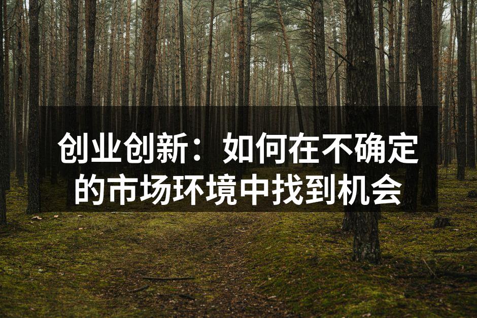 创业创新：如何在不确定的市场环境中找到机会