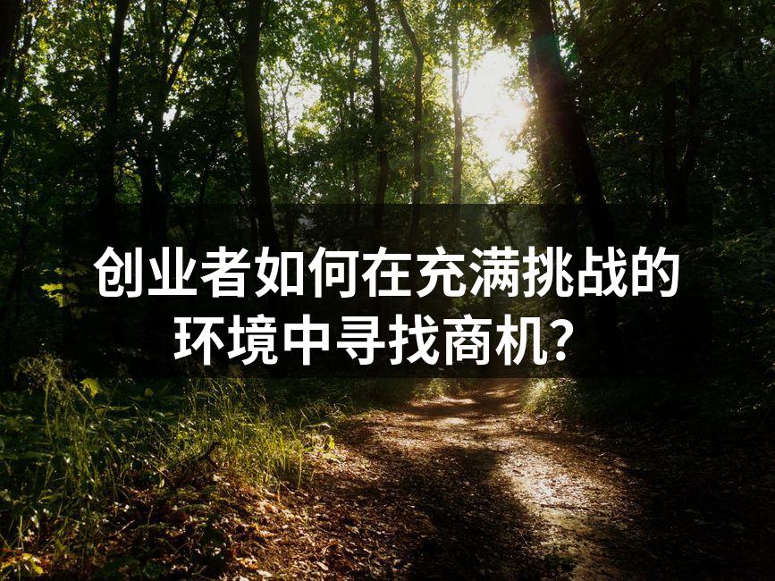 创业者如何在充满挑战的环境中寻找商机？