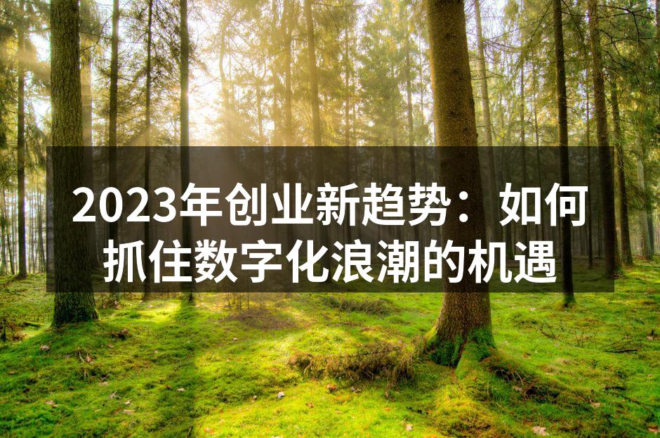 2023年创业新趋势：如何抓住数字化浪潮的机遇